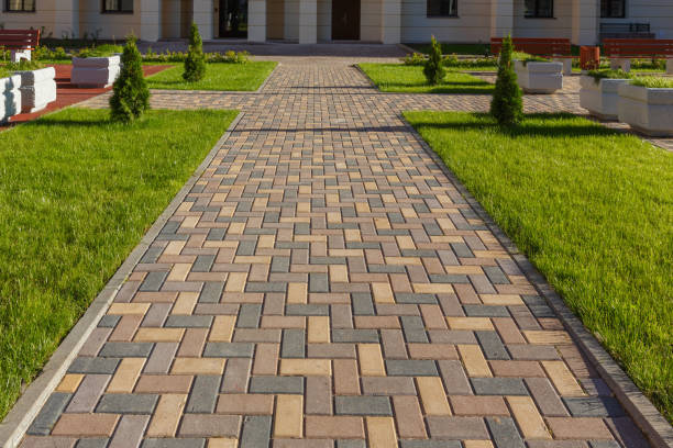 Best Driveway Repair Near Me  in Roxana, IL